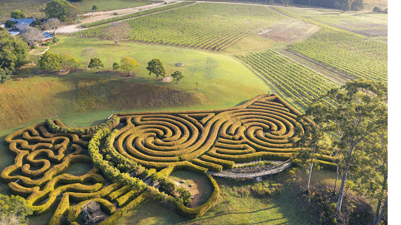 Bago Maze and Wine
