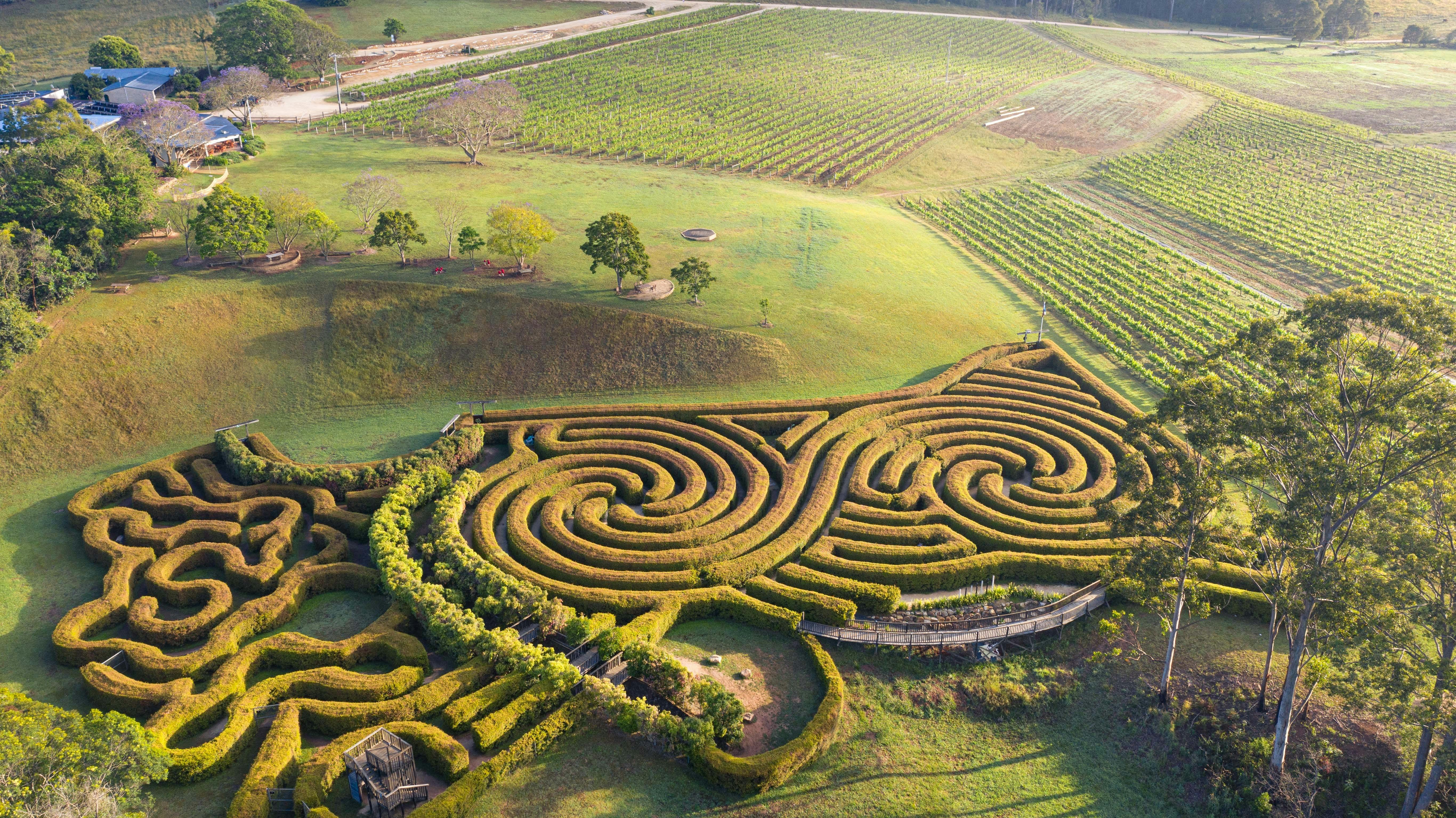 Bago Maze and Wine NSW Holidays & Things to Do