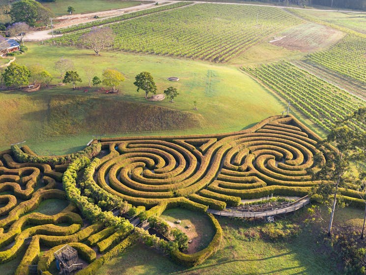 Bago Maze is set amongst picturesque vineyards and  rolling countryside
