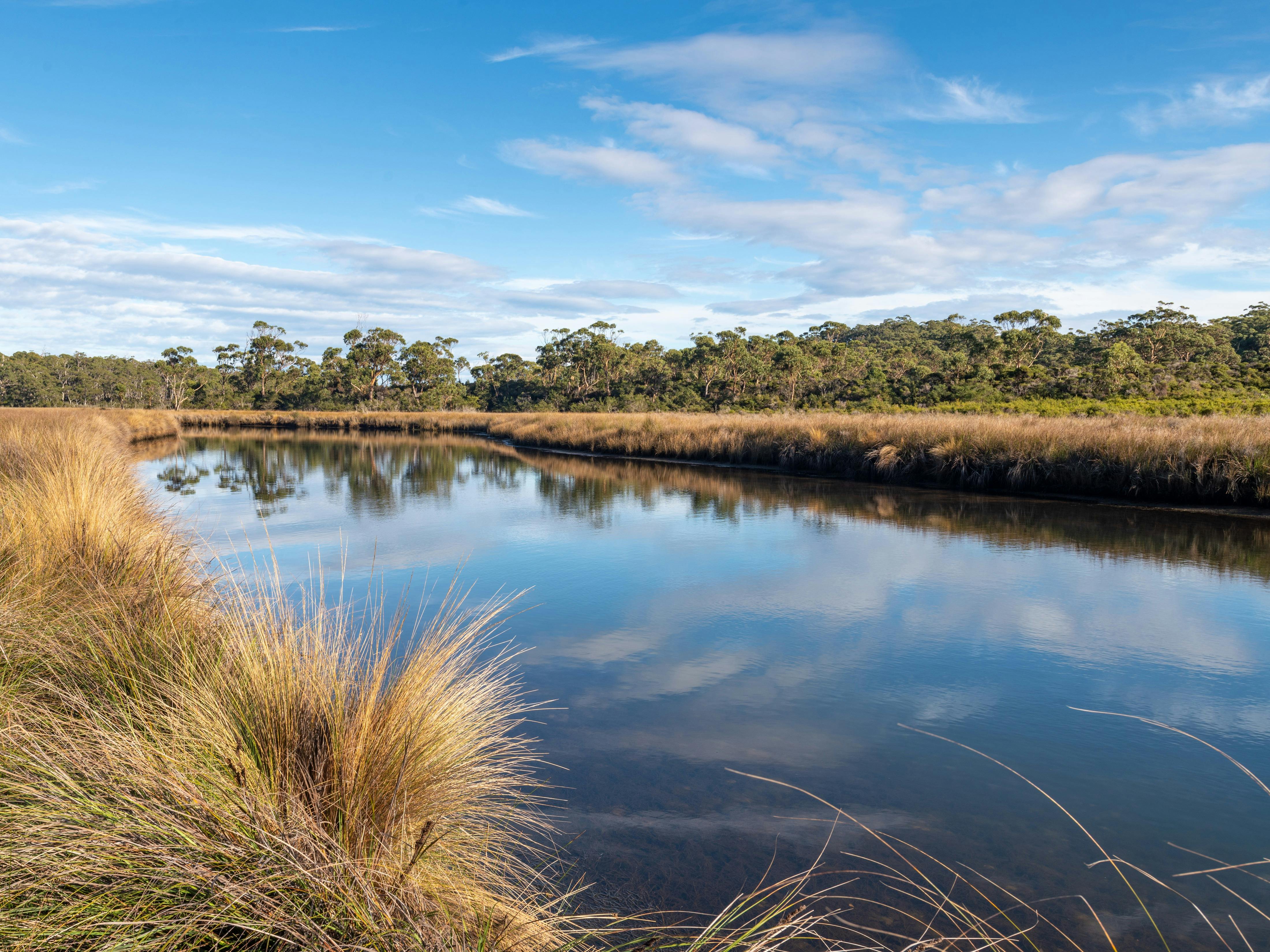 Magical Saintys Creek on a blue bird day
