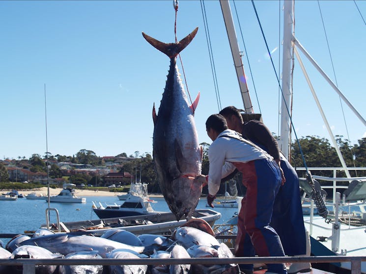 Ulladulla Fishing Crew