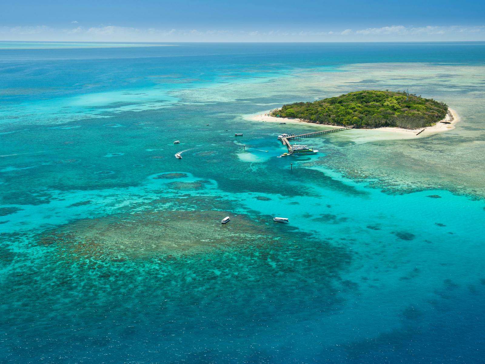 Great Barrier Reef Tours - Green Island