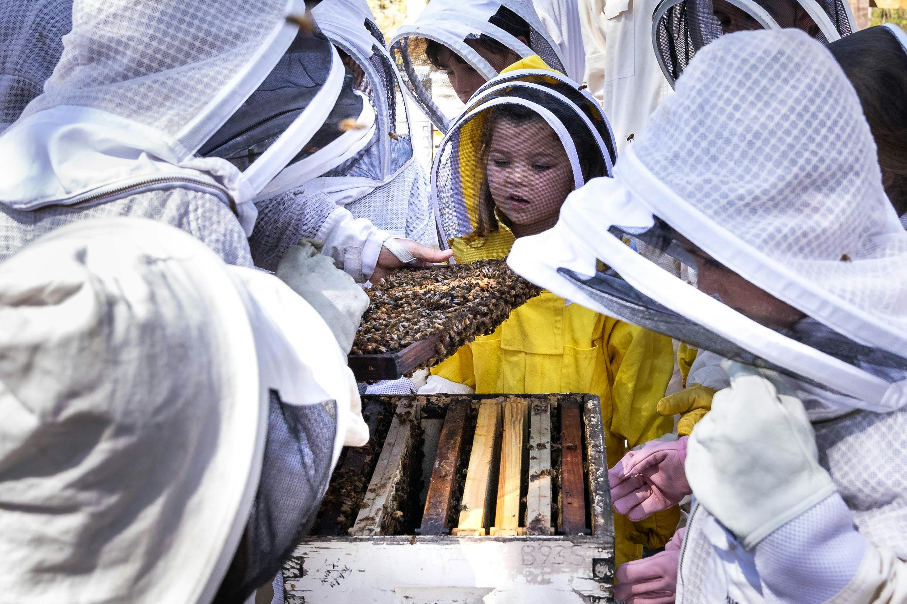 Kids Apiary Tour