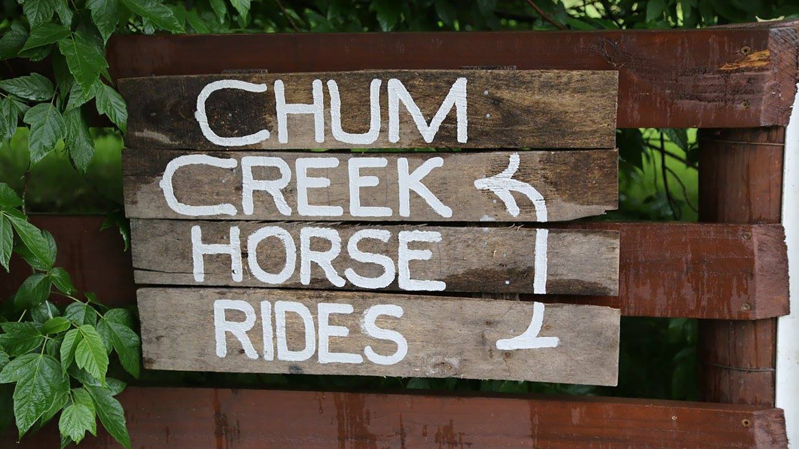Chum Creek Horse Riding and Huts