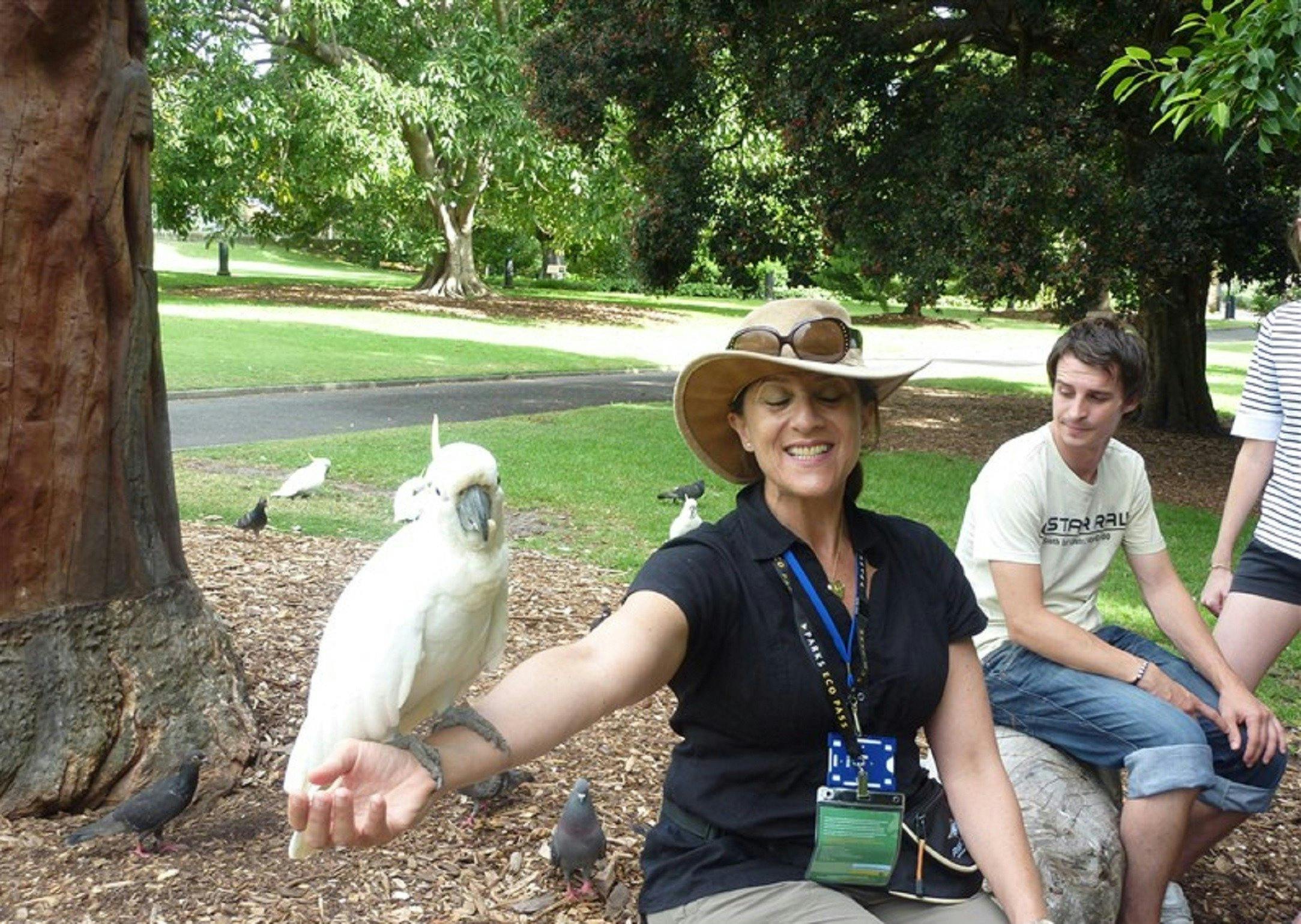 リアルシドニーツアー