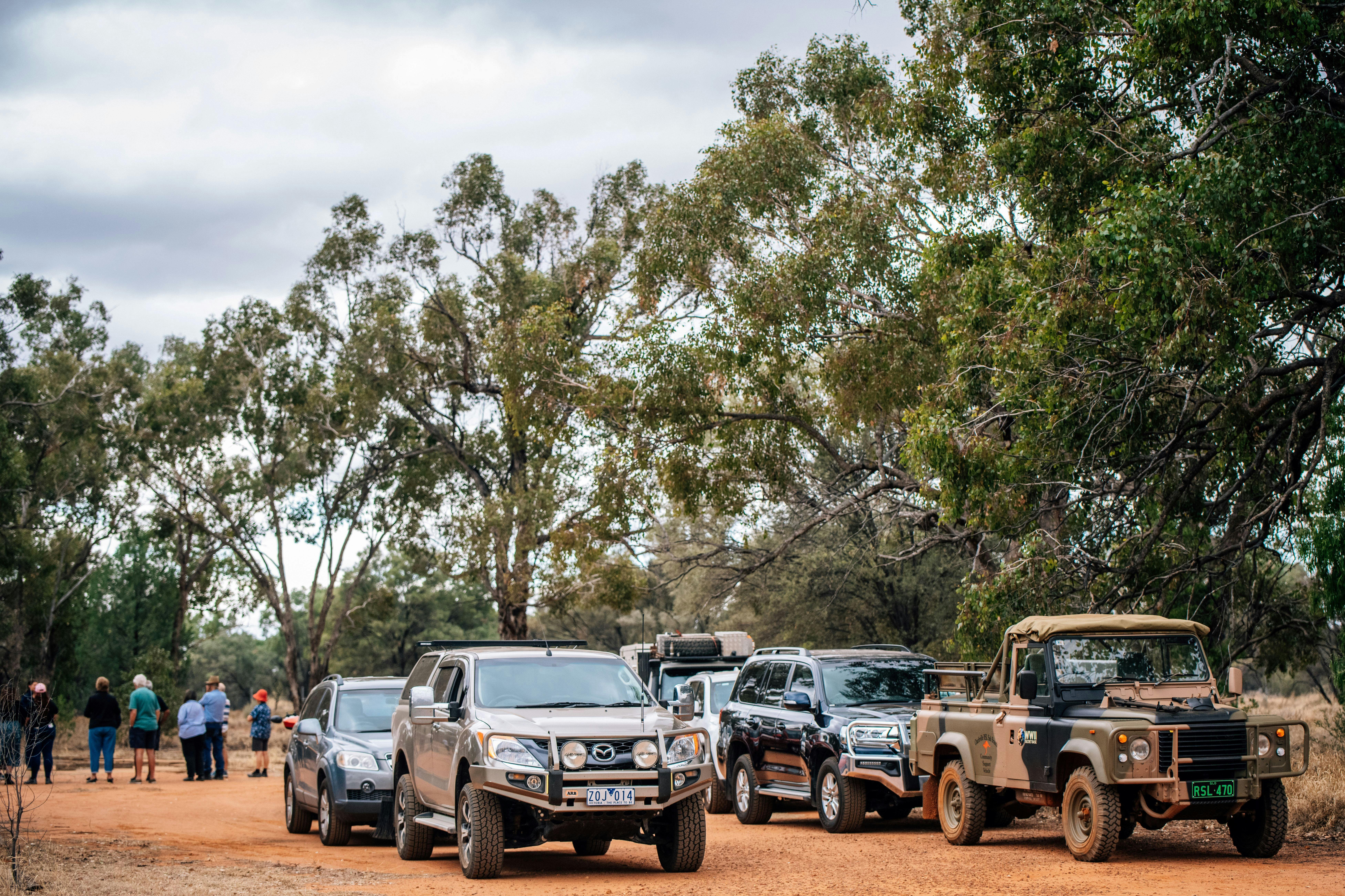 cars lined up in a convoy style with guests listening to the guide in the background