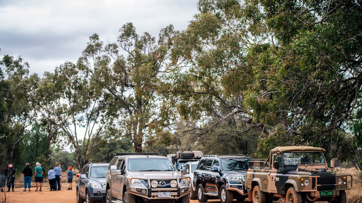 cars lined up in a convoy style with guests listening to the guide in the background