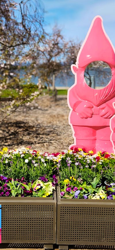 Floriade boxes with gnome cut out