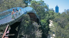Law Trail and Lotterywest Federation Walkway, Kings Park, West Perth, Western Australia