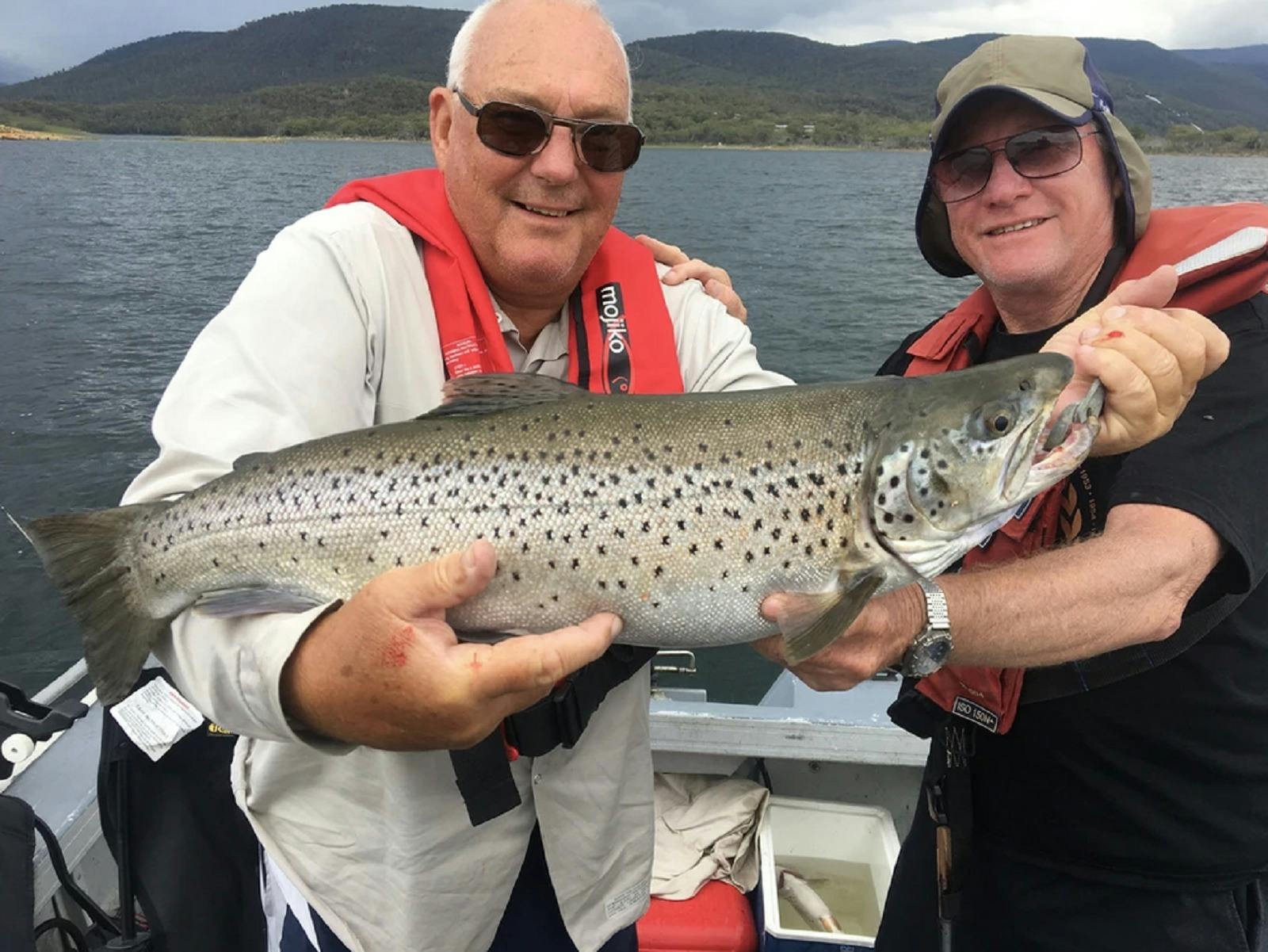 Snowy Mountains Meet in Regional NSW
