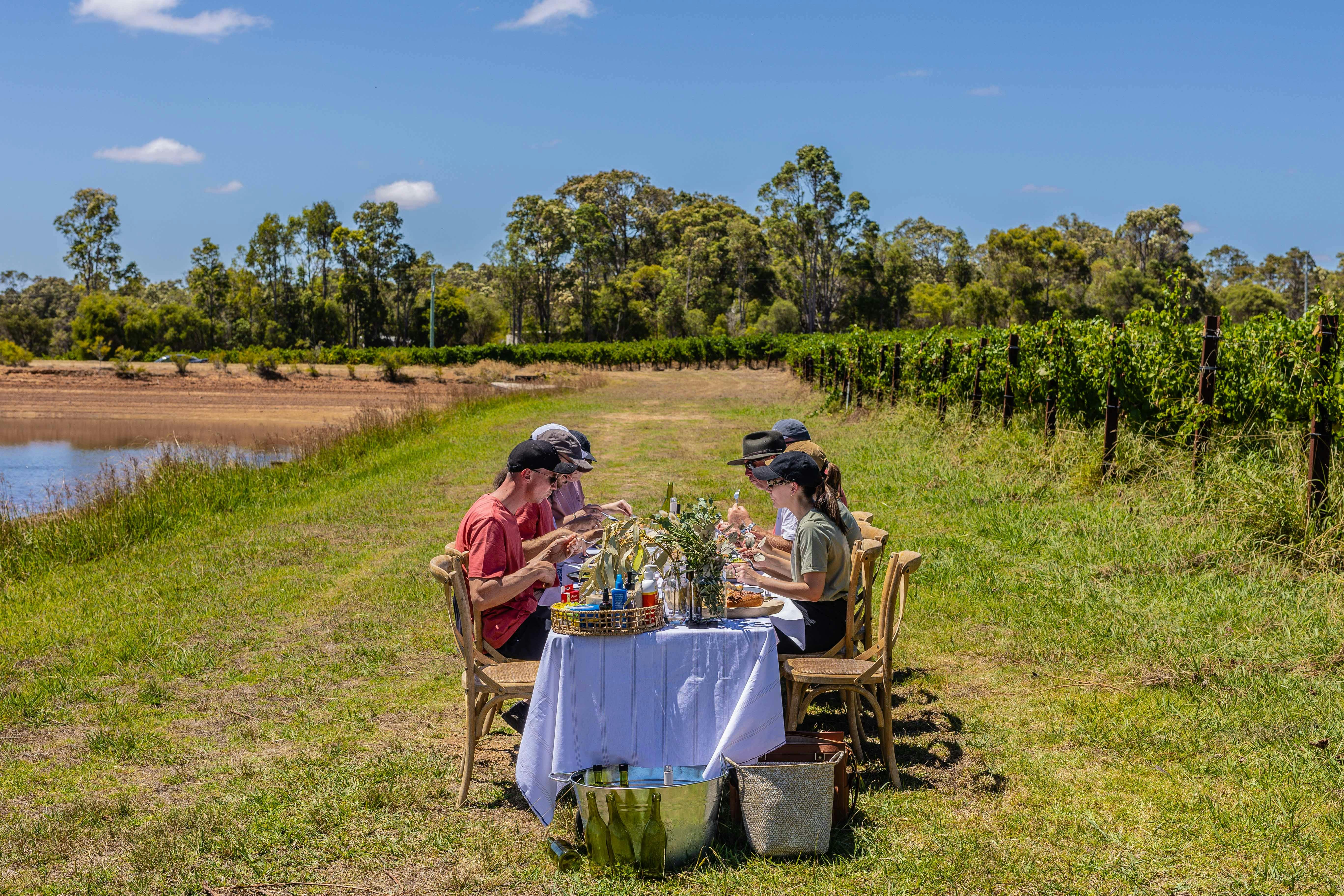 Vineyard feasting