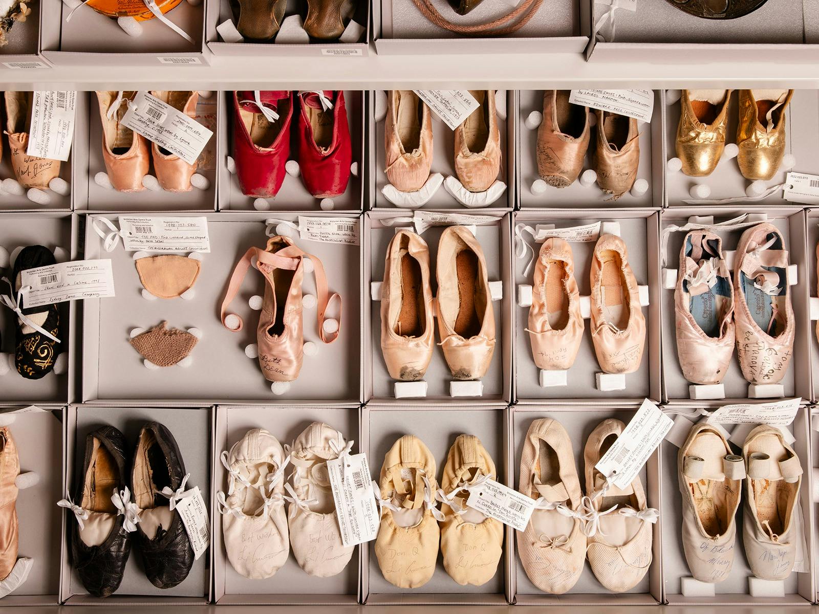 Collection Store Tours