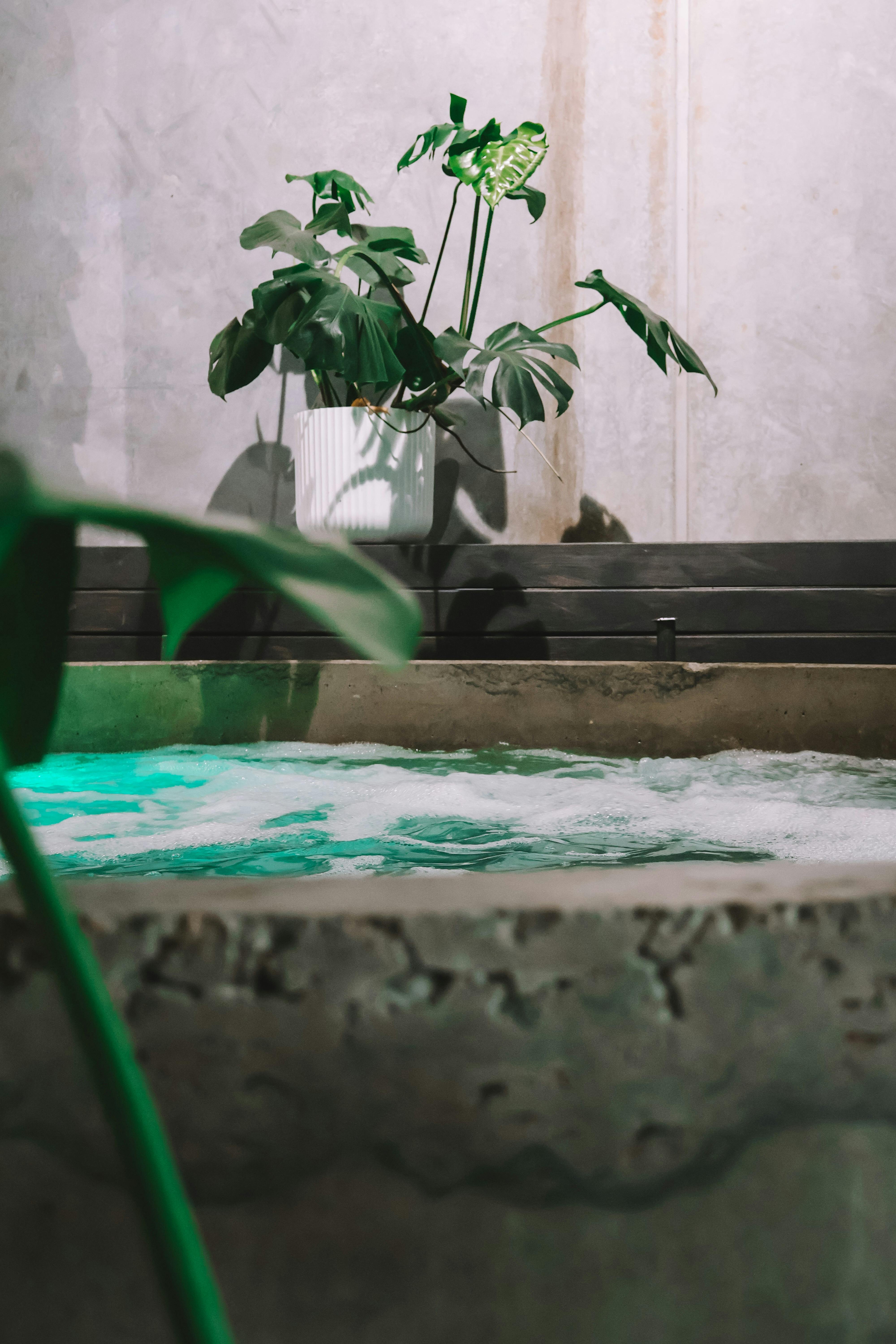 Eden Spa House