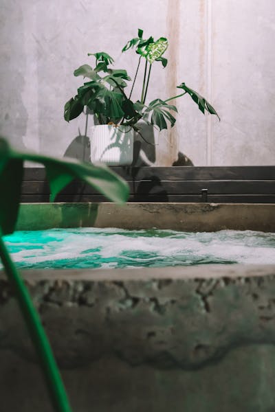 Eden Spa House