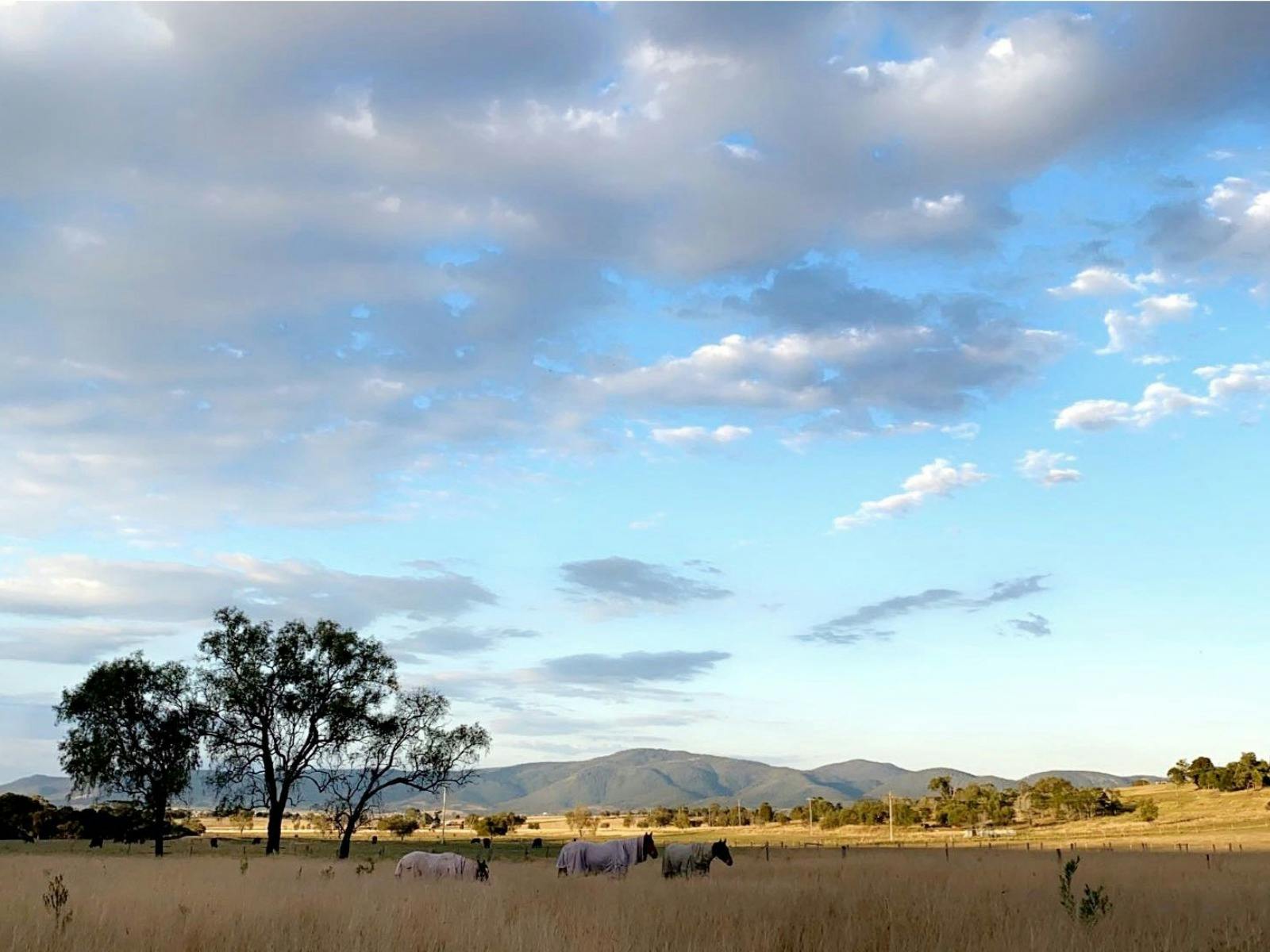 Brisbane Valley Retreat home of Equine Embrace