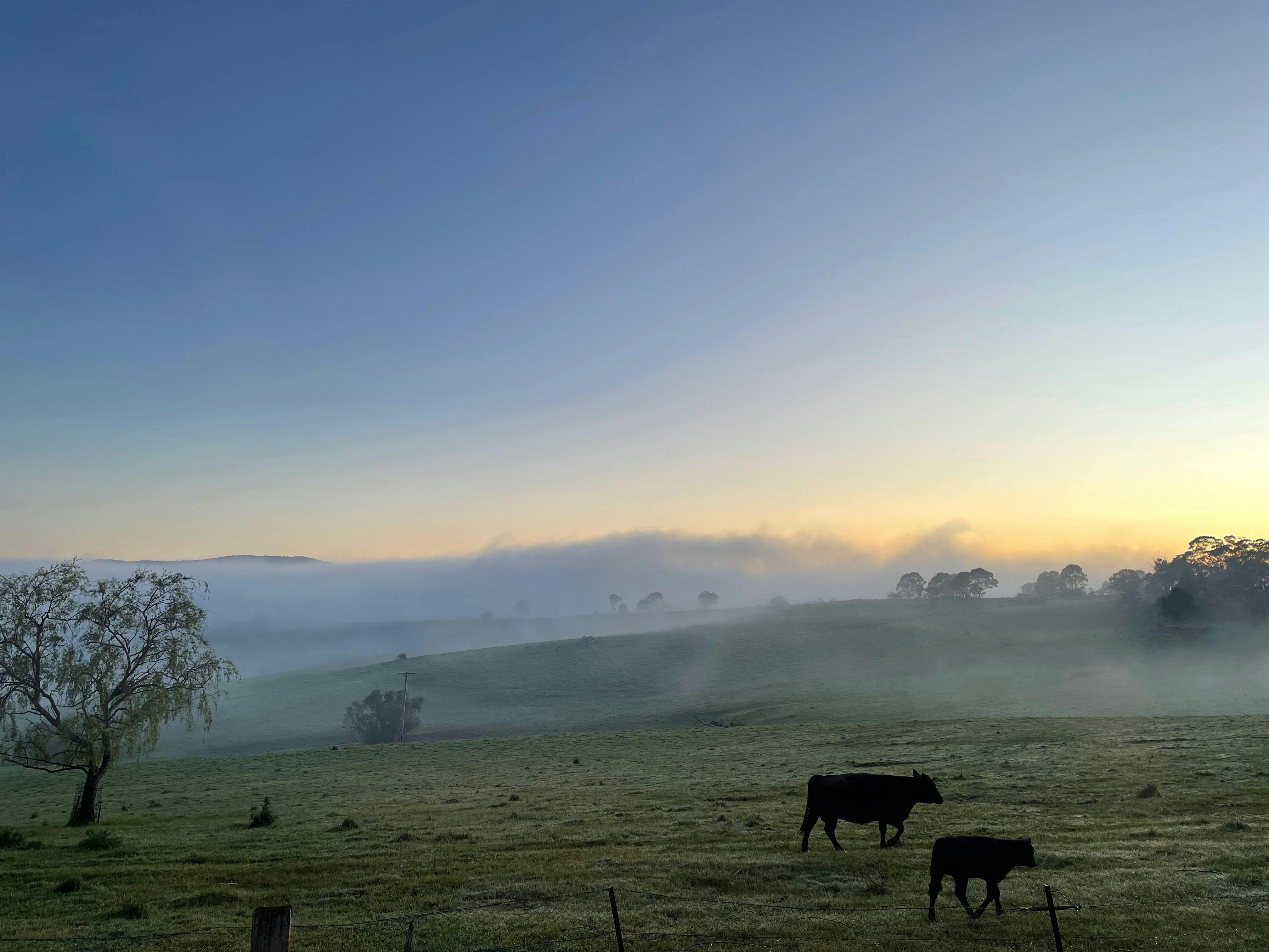 Enjoy the peaceful countryside.