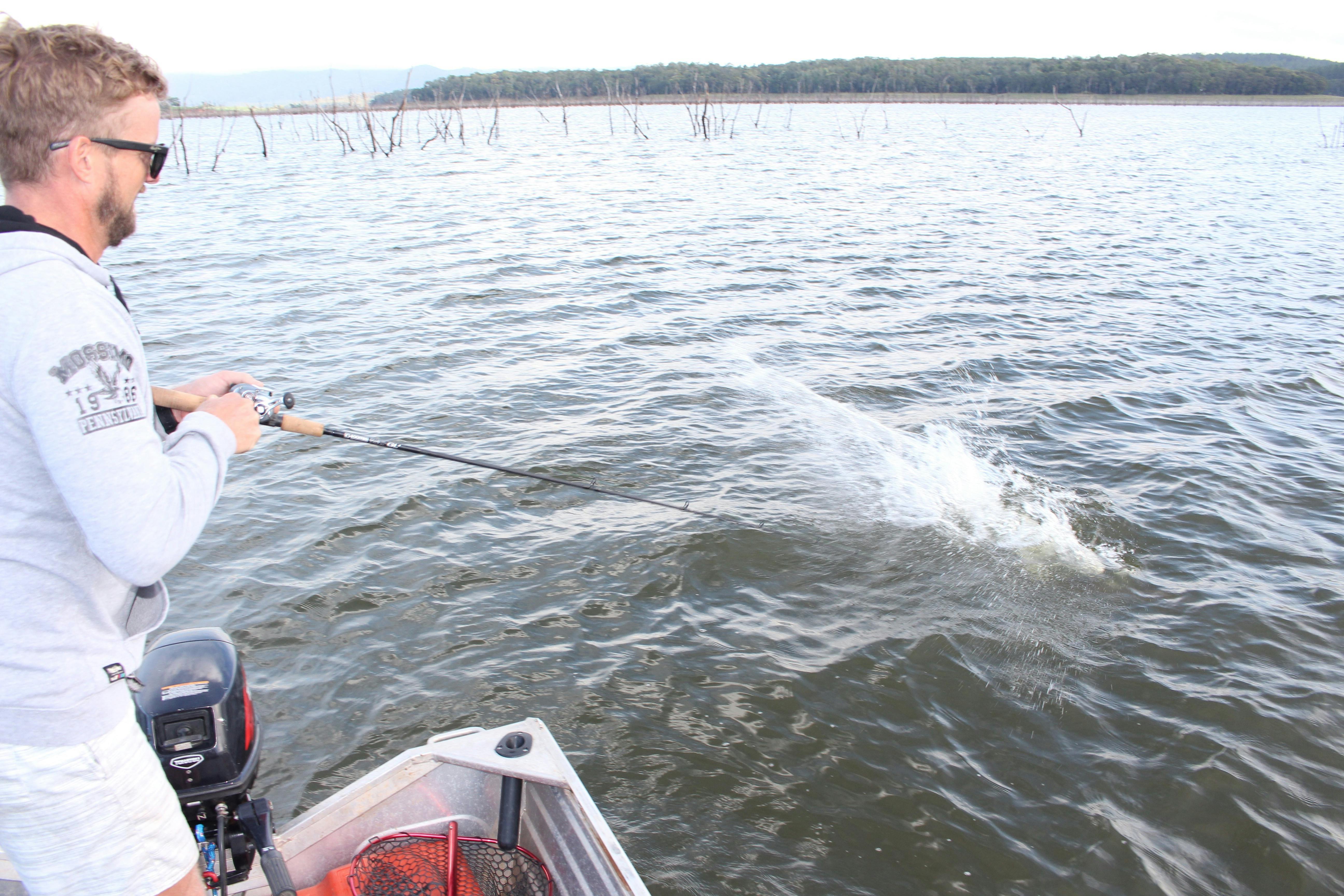 sport fishing at its best