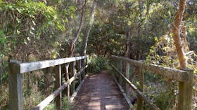 Awaba Bay Foreshore Walk