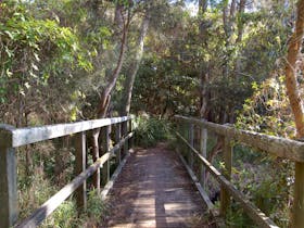 Awaba Bay Foreshore Walk