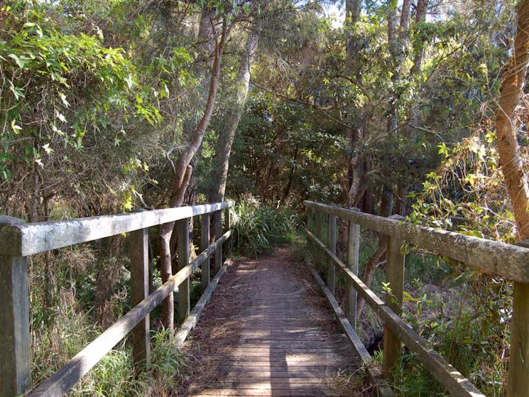 Awaba Foreshore walk, Lake Macquarie State Conservation Area. Photo: Susan Davis/NSW Government
