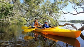 Father and son enjoying paddling in the mangroves