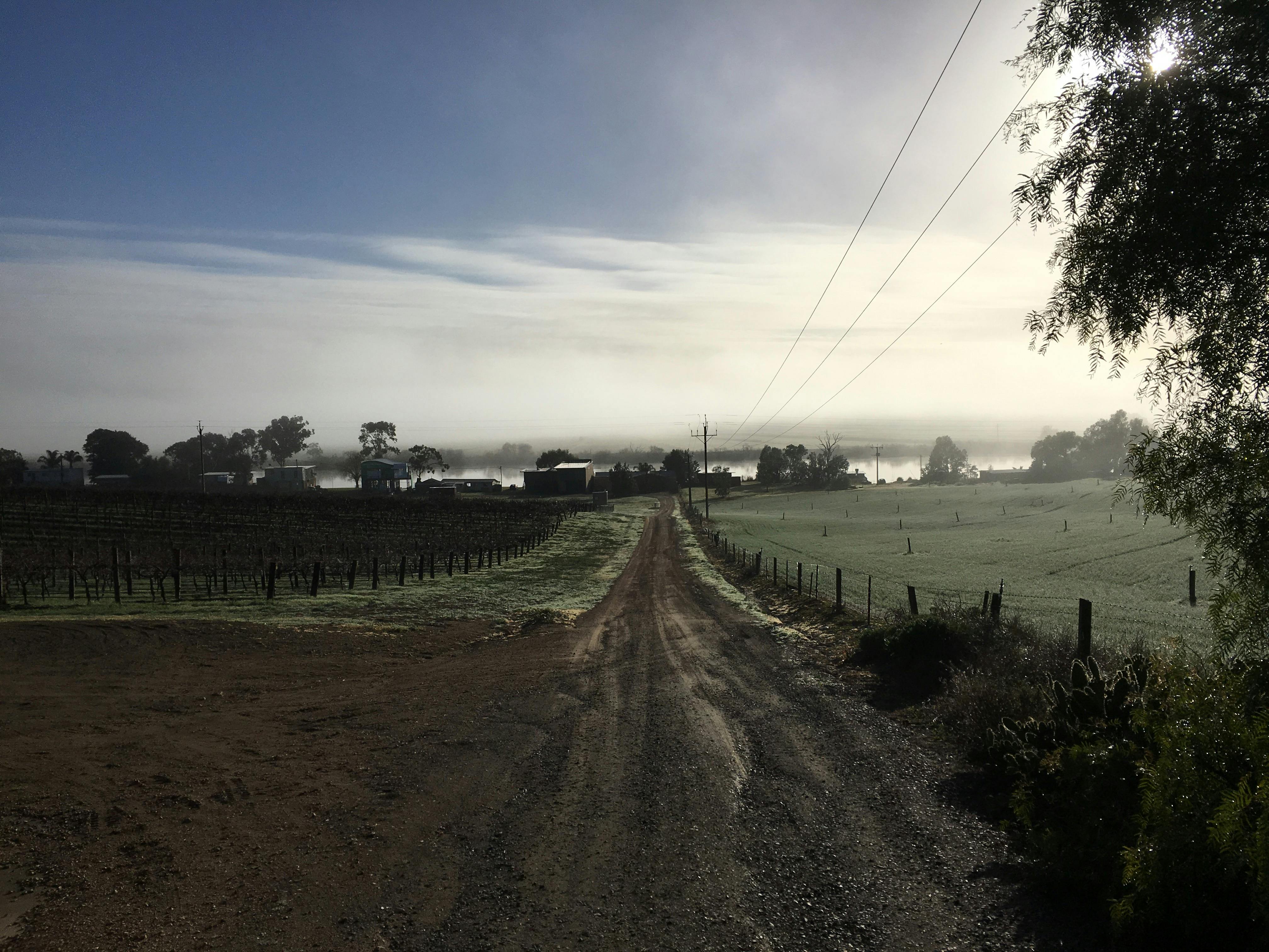 Willow Point Wines