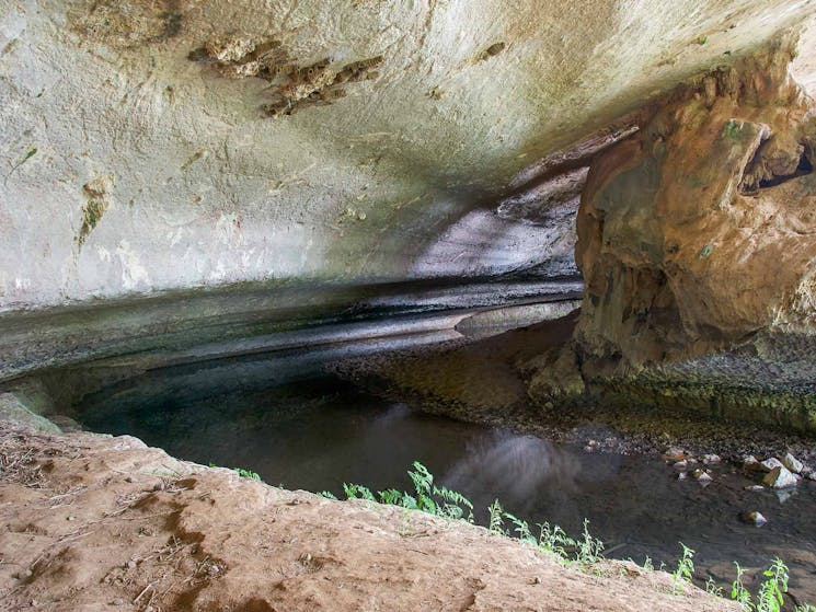 Verandah Cave, Borenore Karst Conservation Reserve. Photo: Steve Woodhall