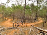 Bushland with with trees and a dirt track winding through. A bike in parked on the track.