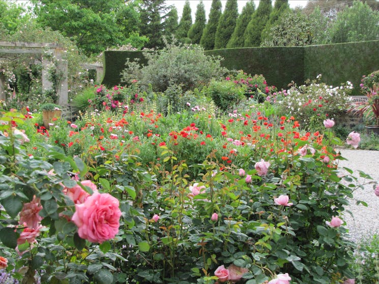 Red Cow Farm Garden