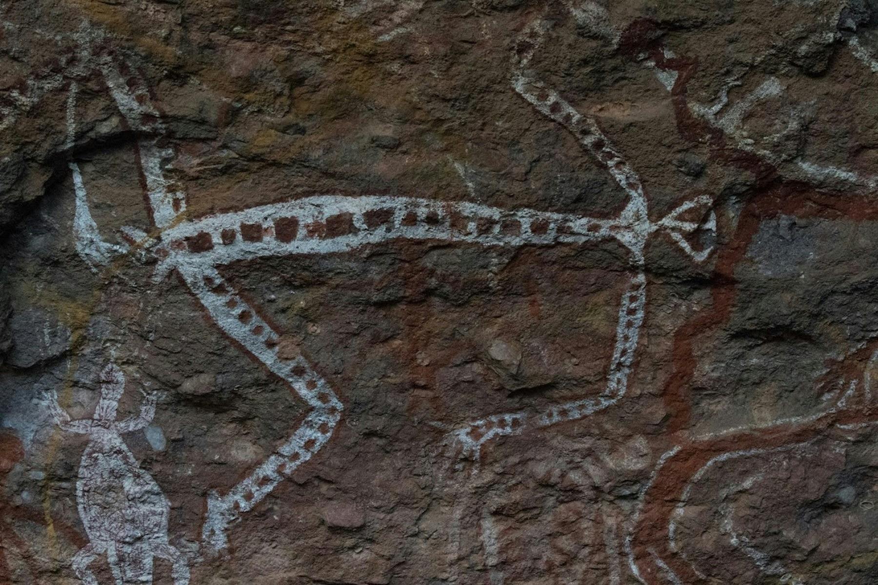 indigenous rock art