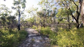 Sandy walking track through coastal vegetation.