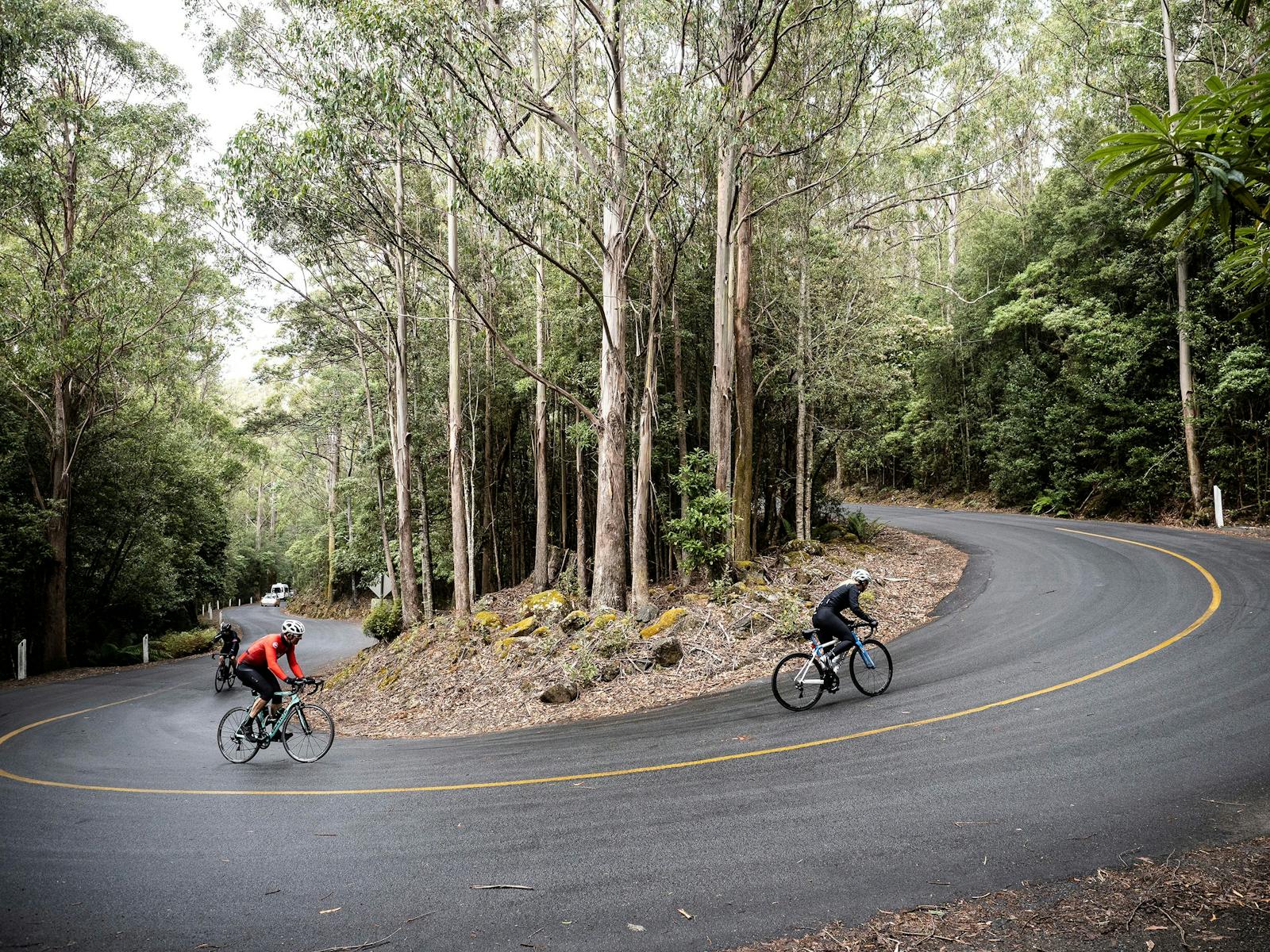 Road Cycling