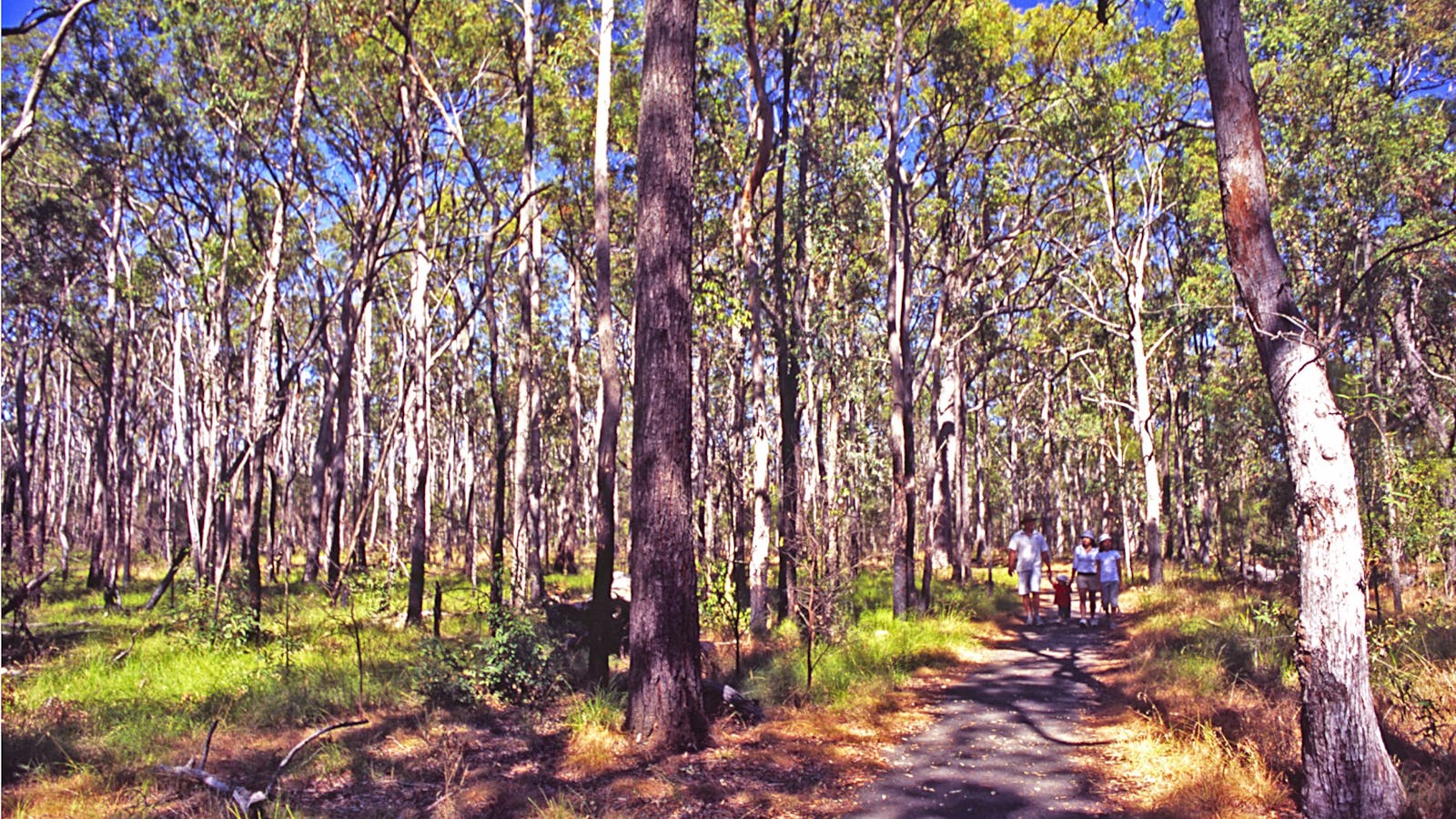 Moogerah Peaks National Park