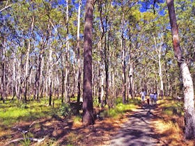 Moogerah Peaks National Park