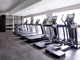 Hale Gym exercise equipment