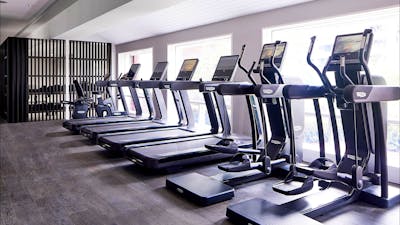 Hale Gym exercise equipment