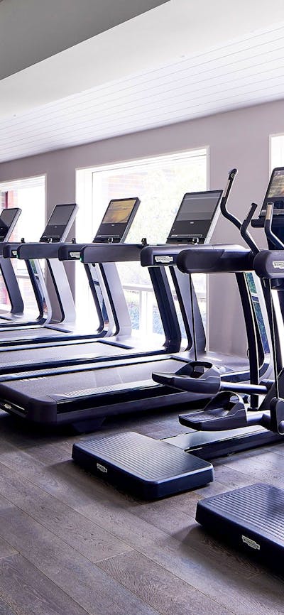 Hale Gym exercise equipment