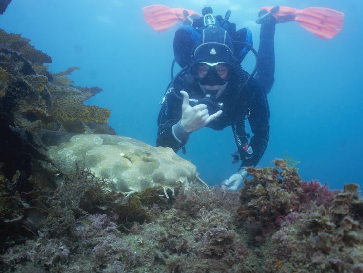Shore dive with Dive Centre Manly