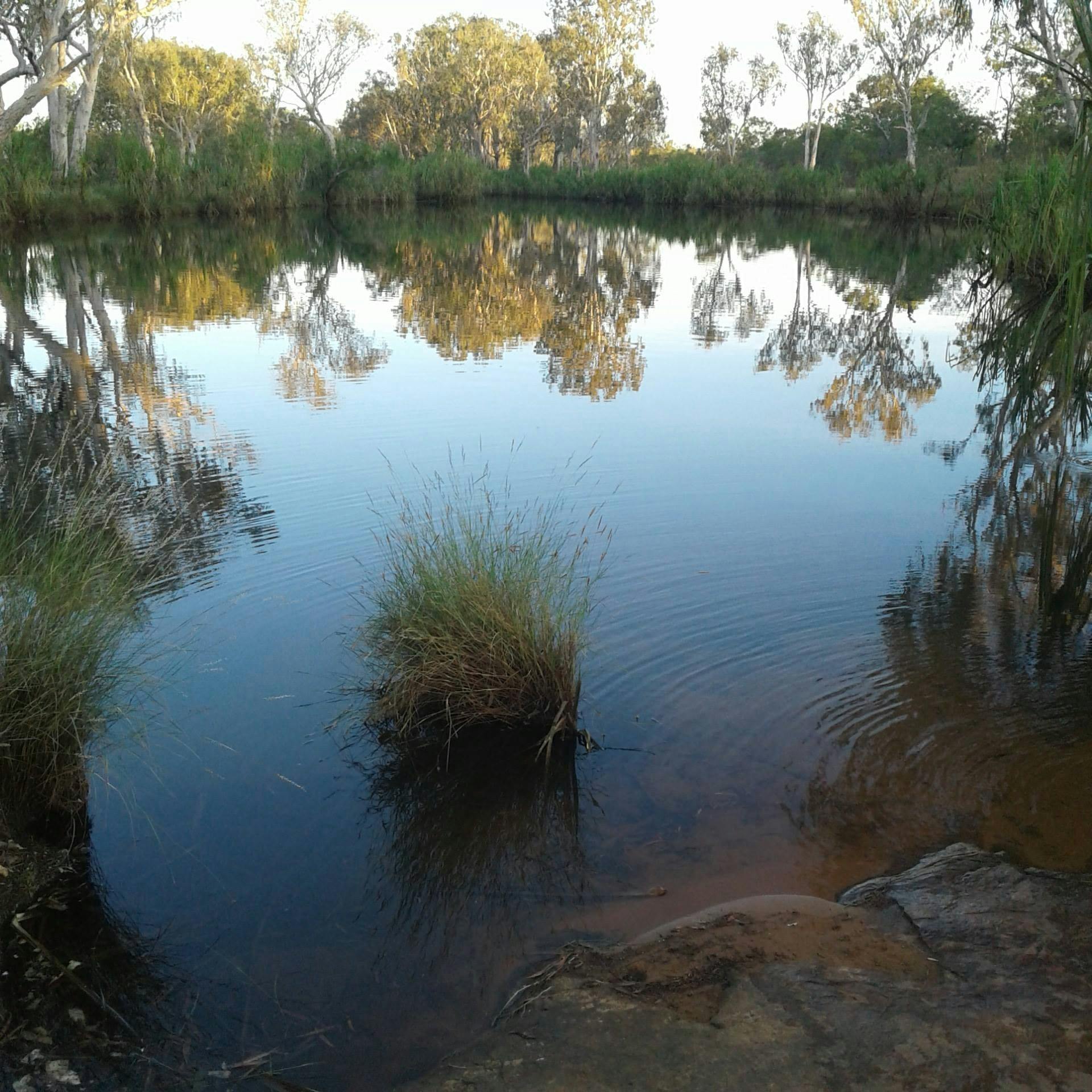 King Edward River