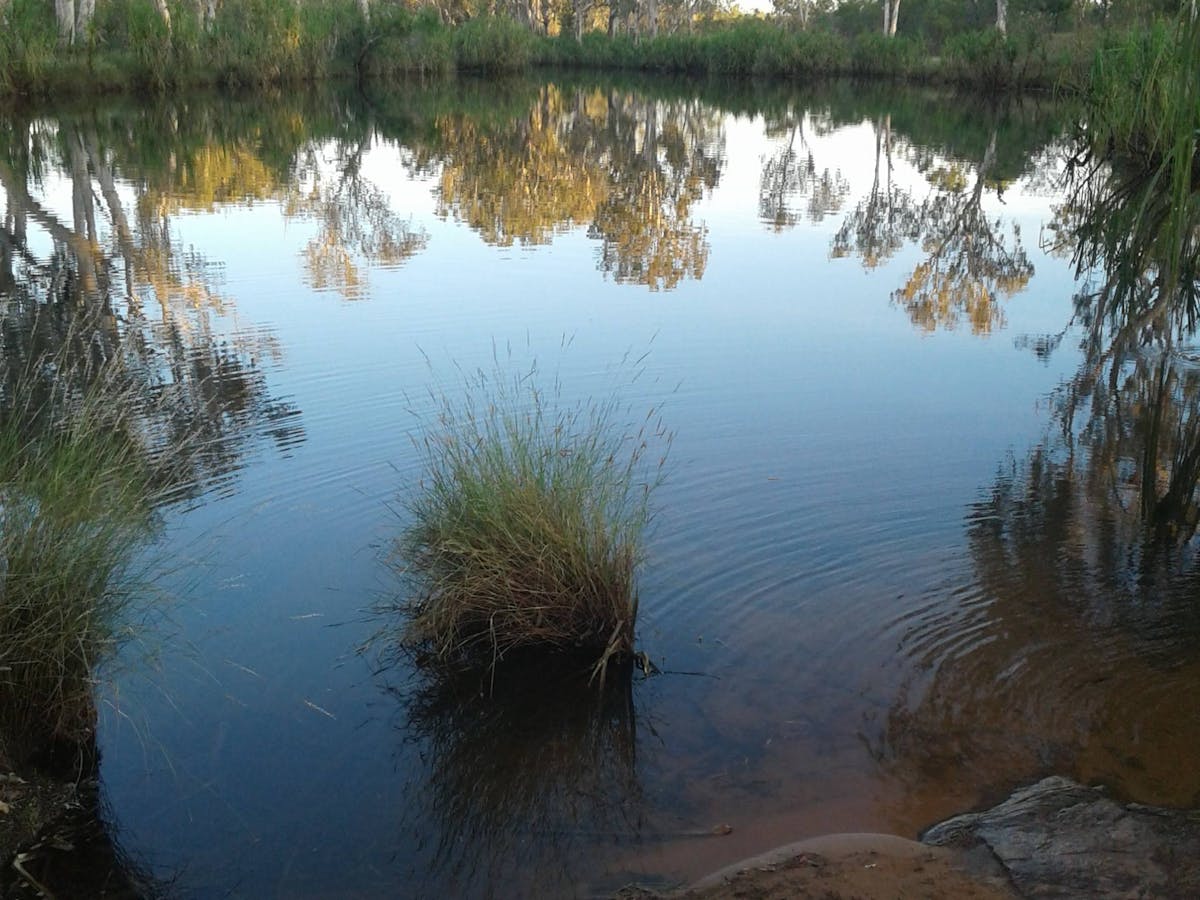 King Edward River