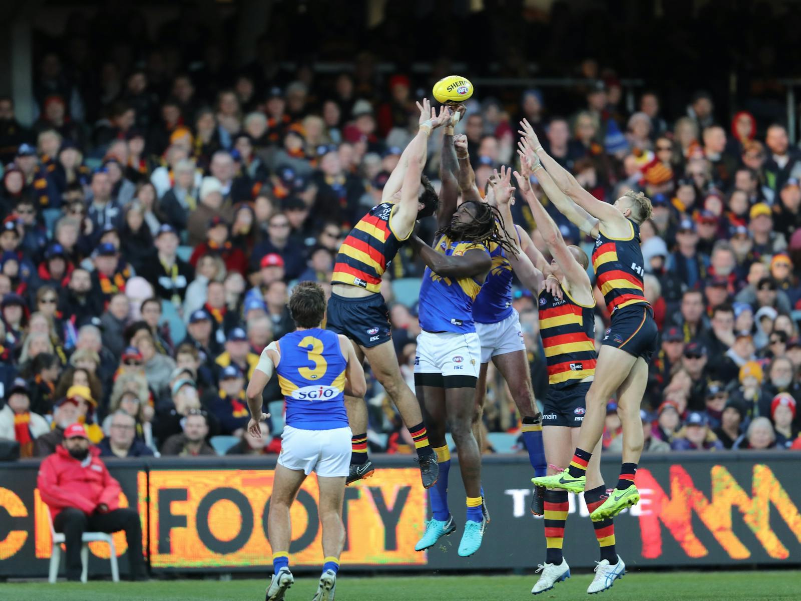 Image for Round 10: Adelaide Crows v West Coast