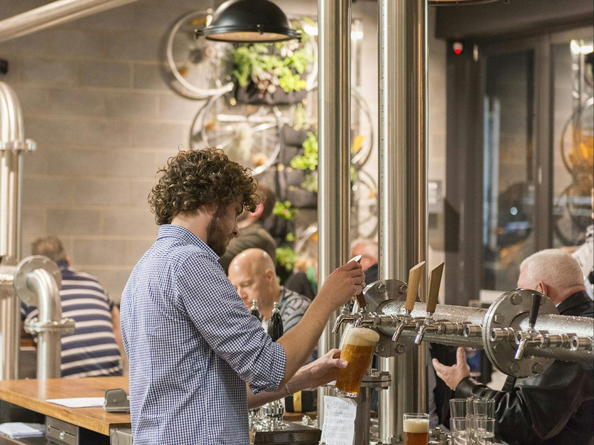 Barman pouring a tap beer