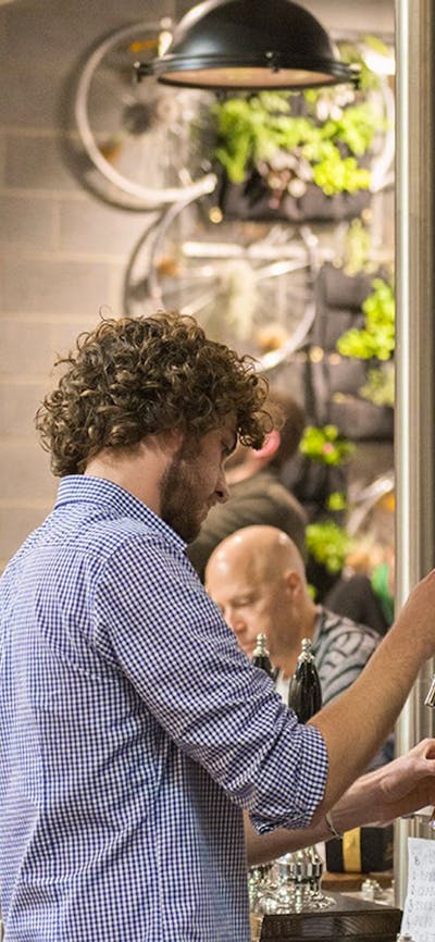 Barman pouring a tap beer