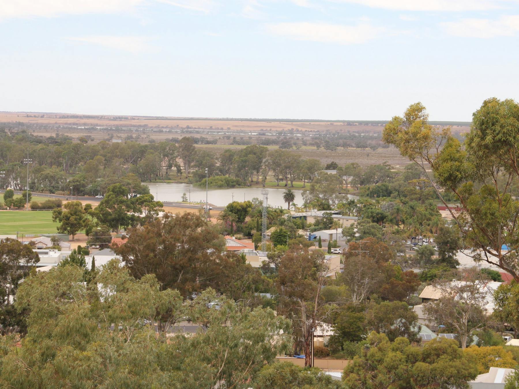 View from Berri Lookout Tower