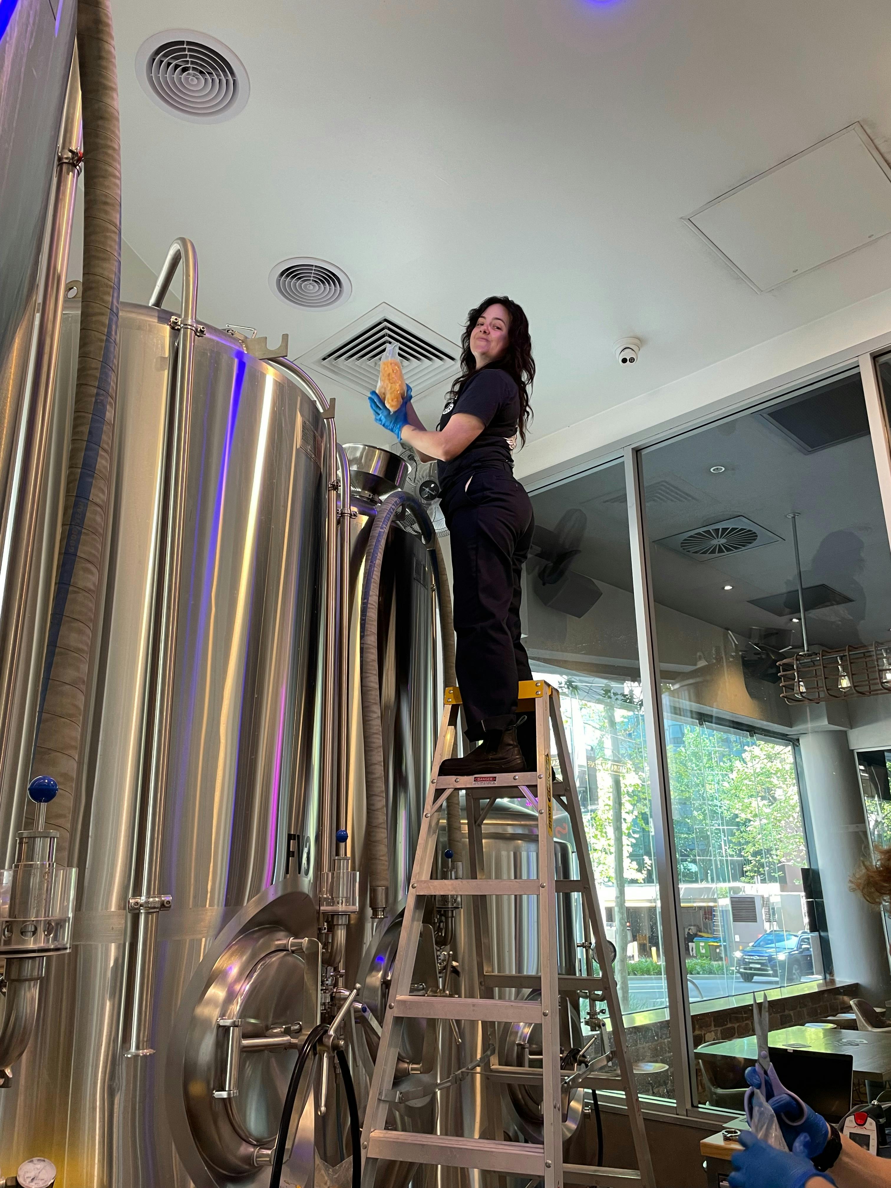 Sydney Brewery Surry Hills Danielle McDonald