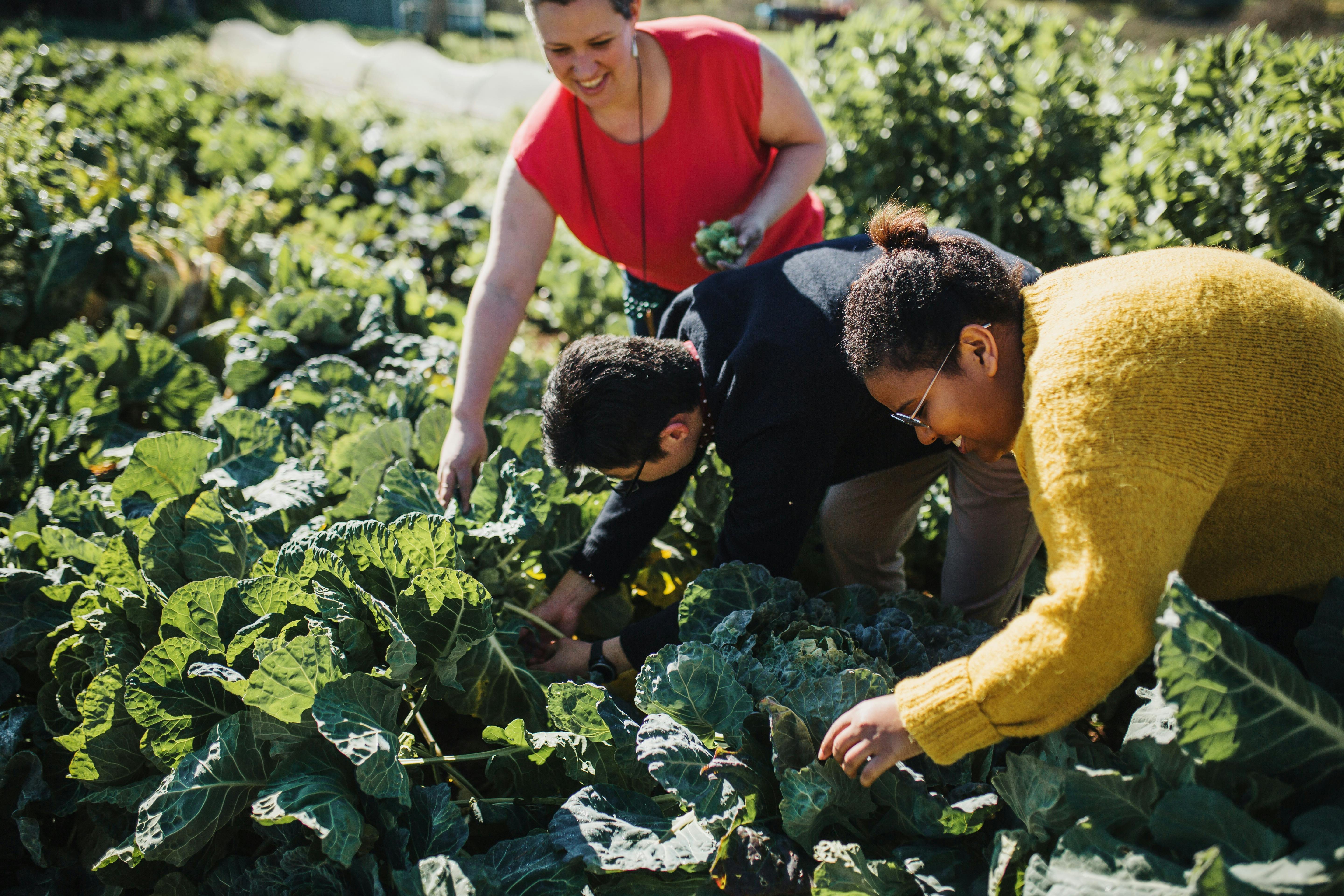 Watervale Hotel Guesthouse - Summer Midweek Break