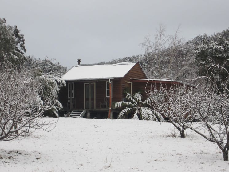 Peach Tree Cabin