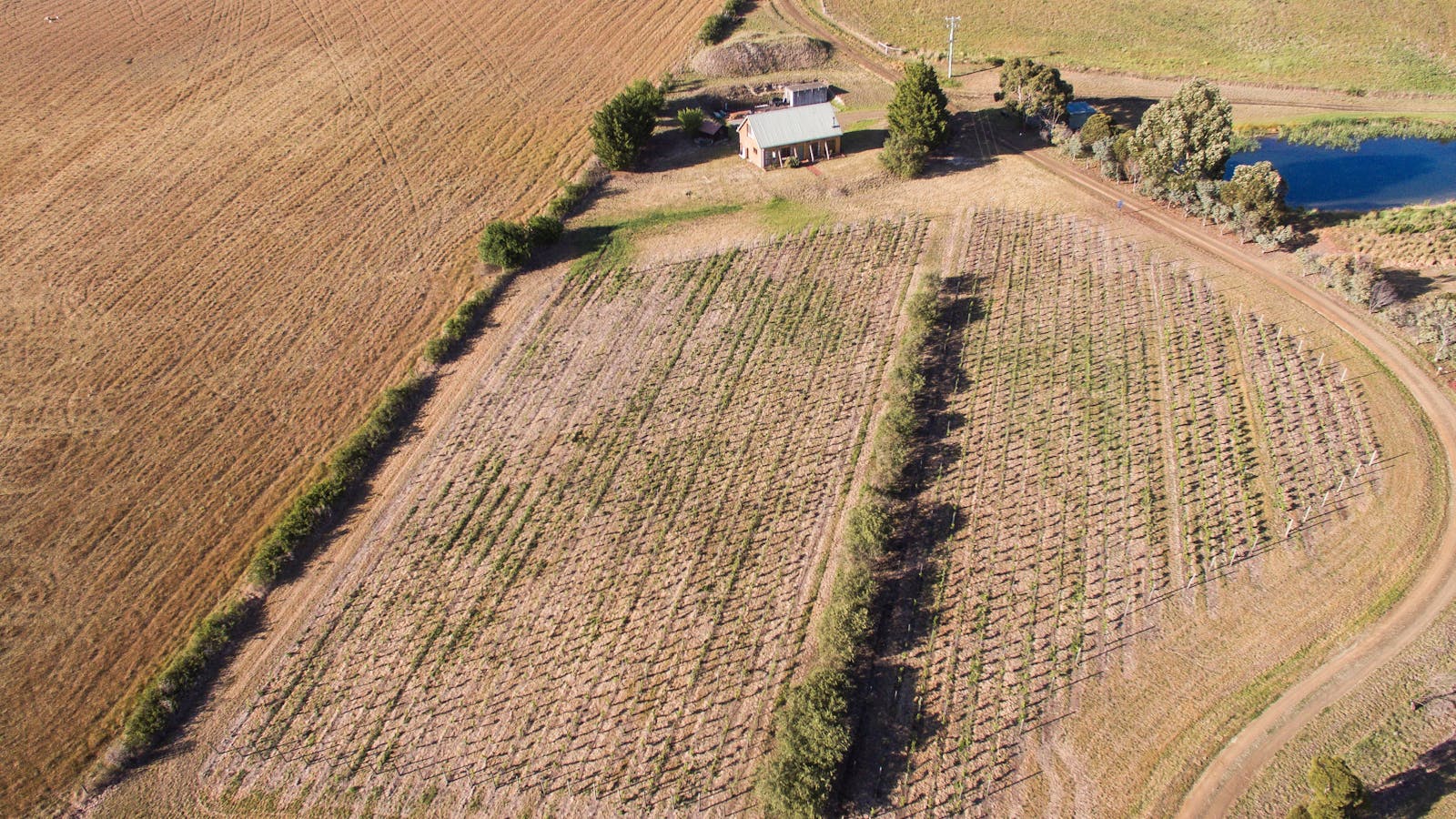 Charles Reuben Estate