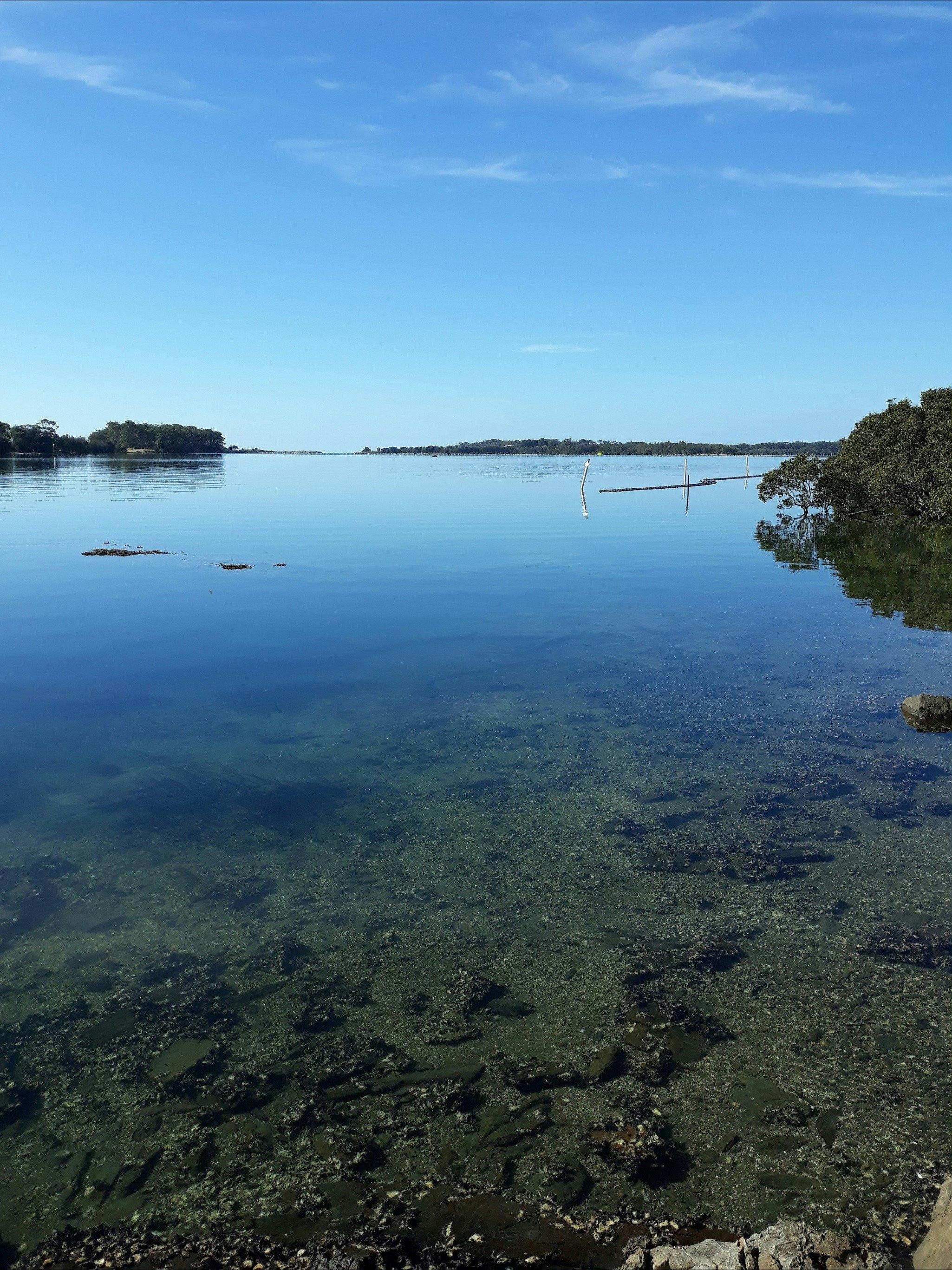 Lazy Days Bed and Breakfast