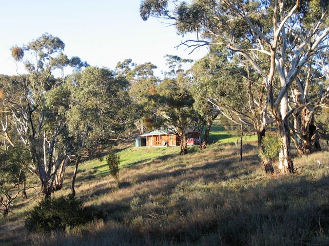 Mollys Chase